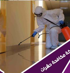 شركة رش مبيدات غرب الرياض