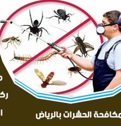 شركة مكافحة حشرات و رش مبيدات بحي عرقة