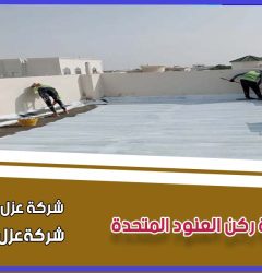 عزل اسطح مانع لتسريب مياه الأمطار بالرياض
